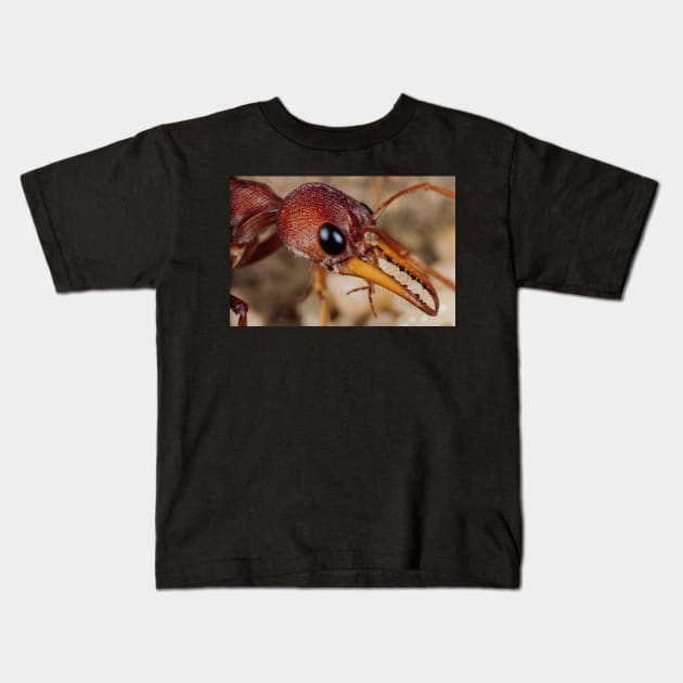 ant Kids T-Shirt by yasminewilbond